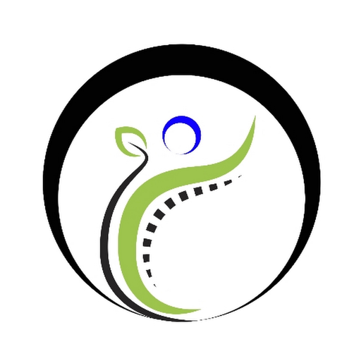 Back in Motion logo